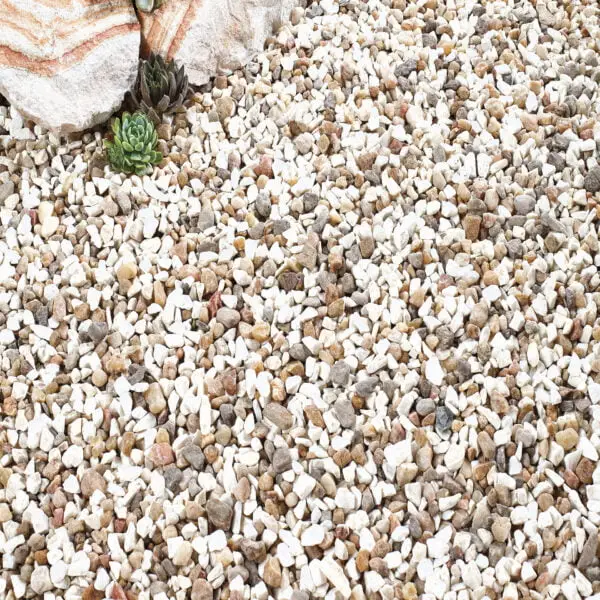 TUSCAN GLOW BULK BAG