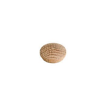 Oak Cover Button | Order Online | Smiths Timber Merchants